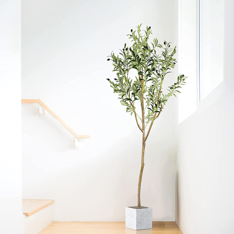Faux Fiddle Leaf Fig Tree Plant in Cement Pot, 170cm H x 80cm W x 80cm D
