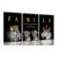 3 Piece Wrapped Canvas Print-157103184