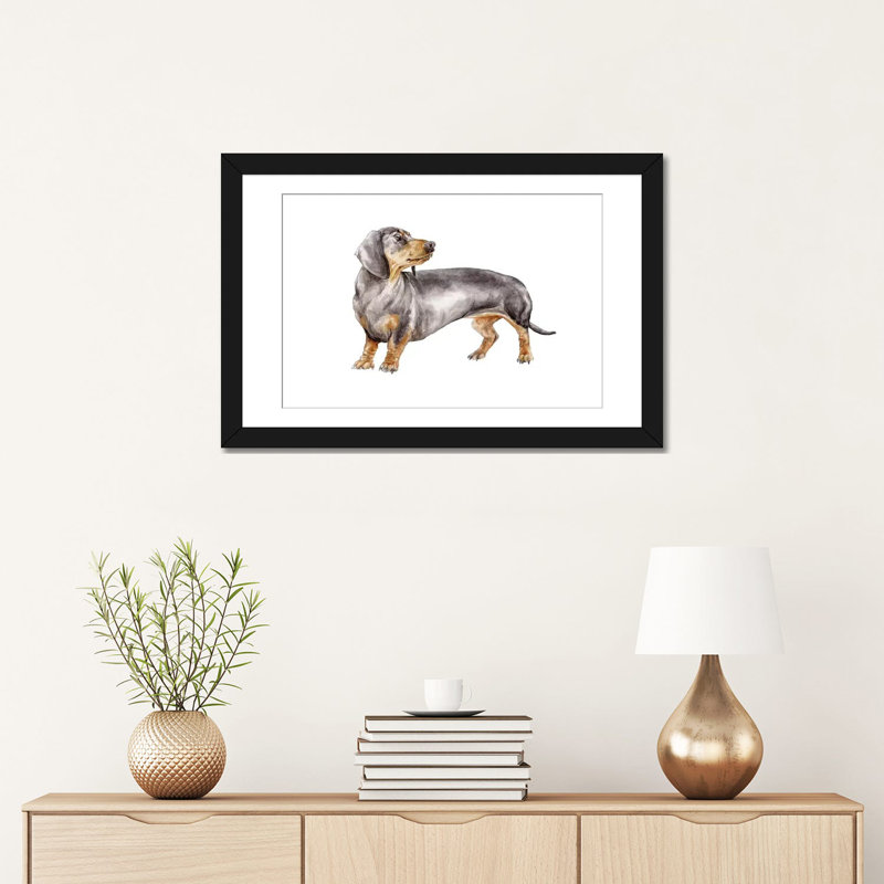 «Black and Tan Dachshund», reproduction sur toile, H 16 po x l 24 po x P 1 po, Papier d'art encadré noir, Blanc