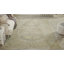 Amaris Sandstone Elegance Hand-Knotted Wool Area Rug-1512568435