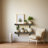 Emerald Lee 2 Piece Poplar Bracket Shelf-98512570-125960025
