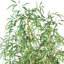Arbre de bambou artificiel en pot-1173953249