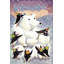«Polar Friends», reproduction sur toile tendue-25597025