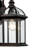 Roscoe 15.38" H Outdoor Wall Lantern-1508953023