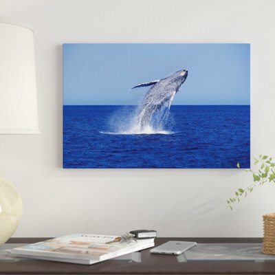 Humpback Whale Breaching In The Lower Gulf Of California, Mexico by VWPics - Gallery-Wrapped Canvas Giclée on Canvas
