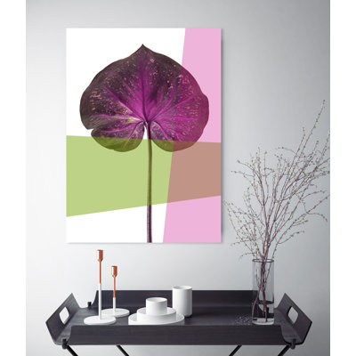 No Frame Print on Plastic / Acrylic