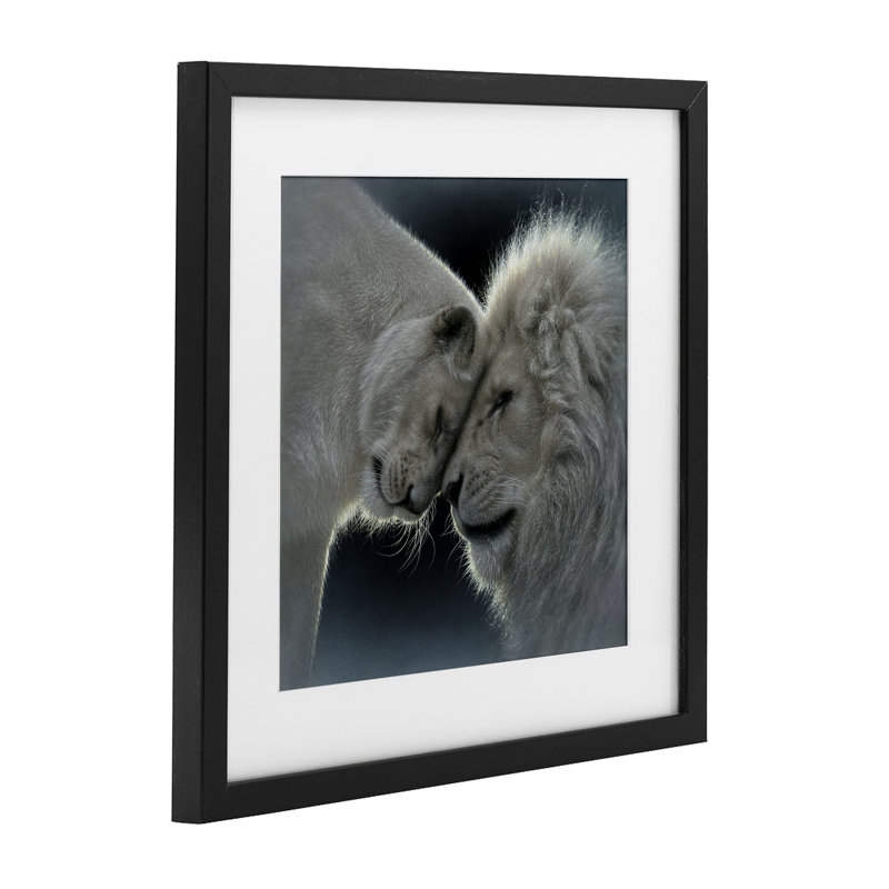 «White Lion Love», reproduction sous verre encadrée, design par Collin Bogle, H 13 po x l 13 po, Cadre noir minuit