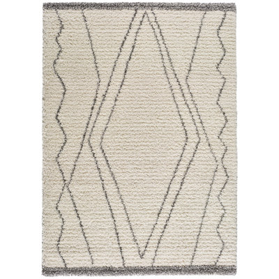 Booher Geometric Area Rug