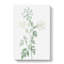 Hemlock Flowers by Pierre-Joseph Redoute - Wrapped Canvas Painting-55360406