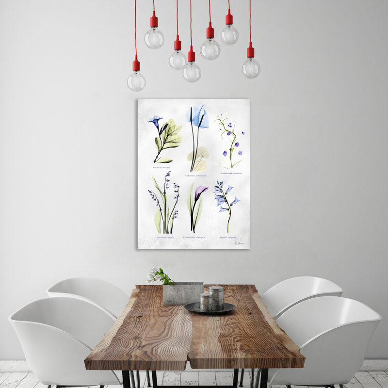 Vast Botanicals - Wrapped Canvas Print, 41 cm H x 30 cm W