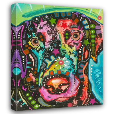 Red Barrel Studio® Dean Russo Collection Gallery Wrapped Canvas Art Titled: Psychedelic Lab