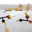 14" Gold Branches Fishbowl-1994740384