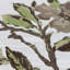 Floral Square Cushion-569474191