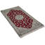 Nishtha Oriental Area Rug in Red