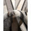 Tapis contemporain Ingenue gris de couleur ivoire-556735508