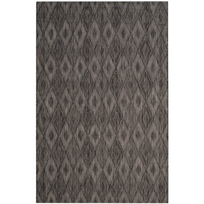 Colon Hooked Black Indoor/Outdoor Rug