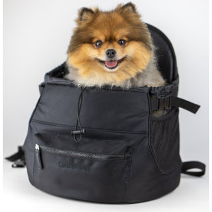 Collapsible Pet Carrier