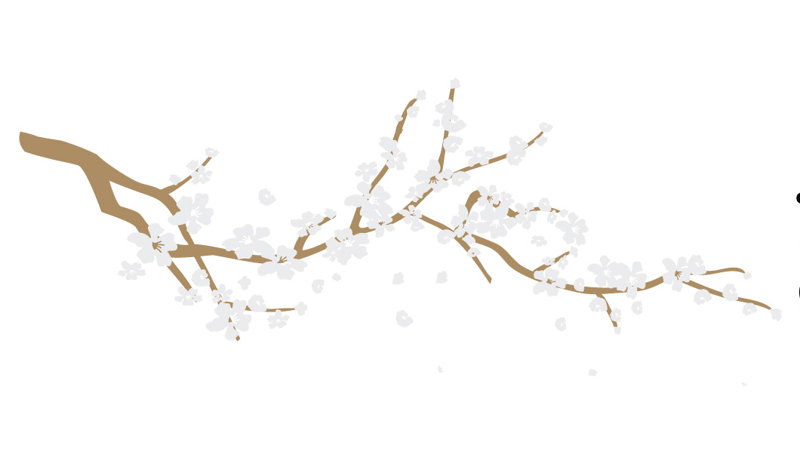 Adhésif décoratif cerisier en fleurs, 19" H x 48" lx 0.01" D, Brun clair / jaune