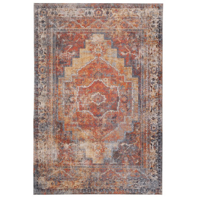 Salsbury Oriental Indoor Rug