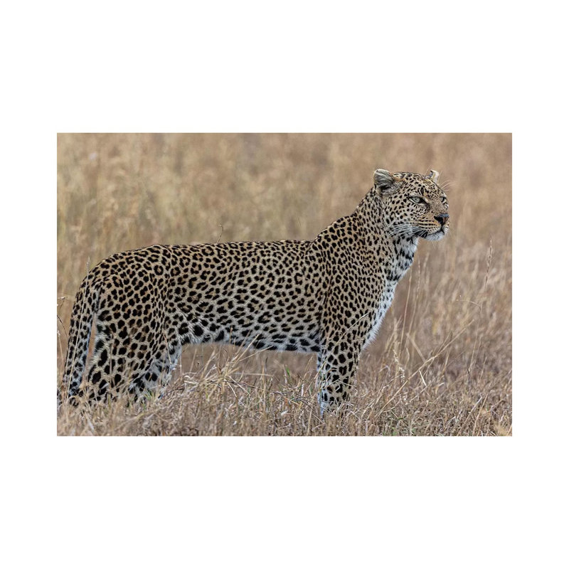 Hunting 1 Piece Wrapped Canvas Wall Art, 66.04 cm H x 45.72 cm W x 3.175 cm D