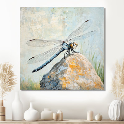Dragonfly On A Rock - Animals Metal Wall Art, Dragonfly Metal Print