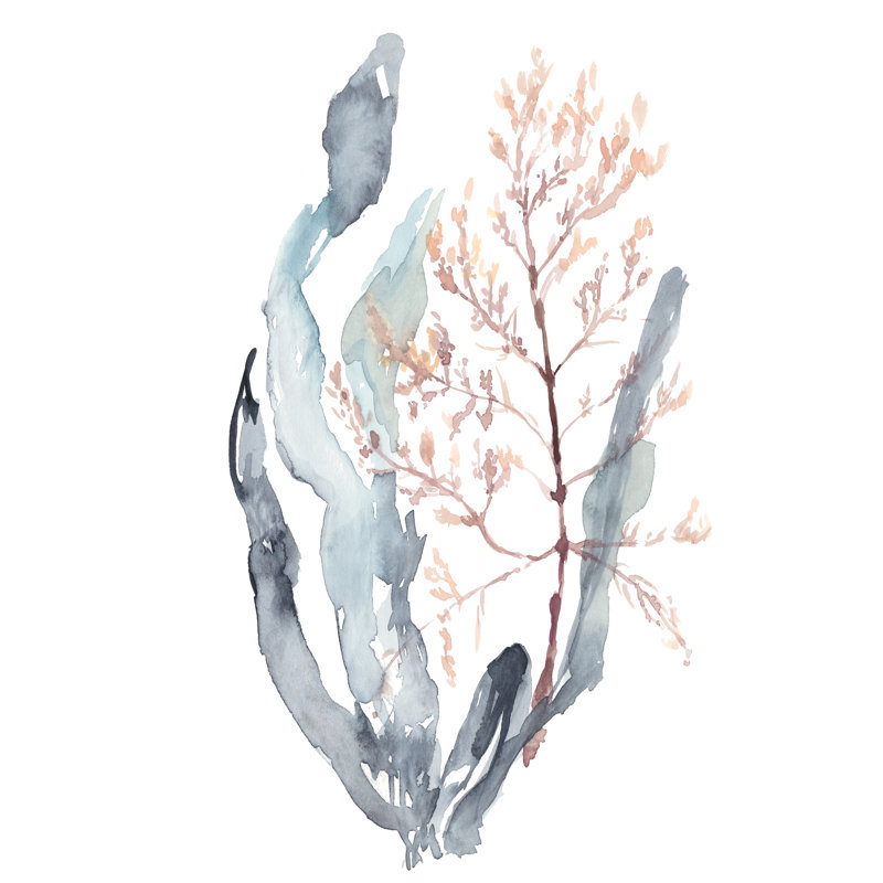 Sweet Seaweed II by Jennifer Goldberger - Painting, 30cm H x 20cm W, Wrapped Canvas