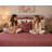 Velvet Reversible Pillow Cover-580423309