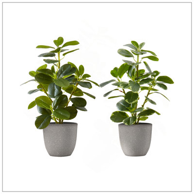 Artificial Plant, 14" Tall, Ficus, Indoor, Faux, Fake, Table, Greenery, Potted, Set Of 2, Decorative, Green Leaves, Pots
