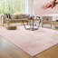 Anarely Shaggy Rug in Pink-454312446