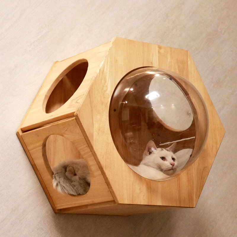  Cat Wall House, Cat Perch, Large Cat Shelf with Spaceship| Rubber Wood
