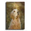 «Golden Dog» par John Silver-97102634