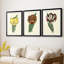 Antique Tulip II - impression encadrée sur mesure de qualité supérieure mate - 3 pièces-1573223395-1573223396