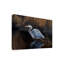 Impression sur toile tendue, "Grand héron bleu" par Berrien-27647853