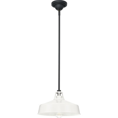 Luminaire suspendu d'extérieur 1 lumière H 7,5 po Wrightia Ciana