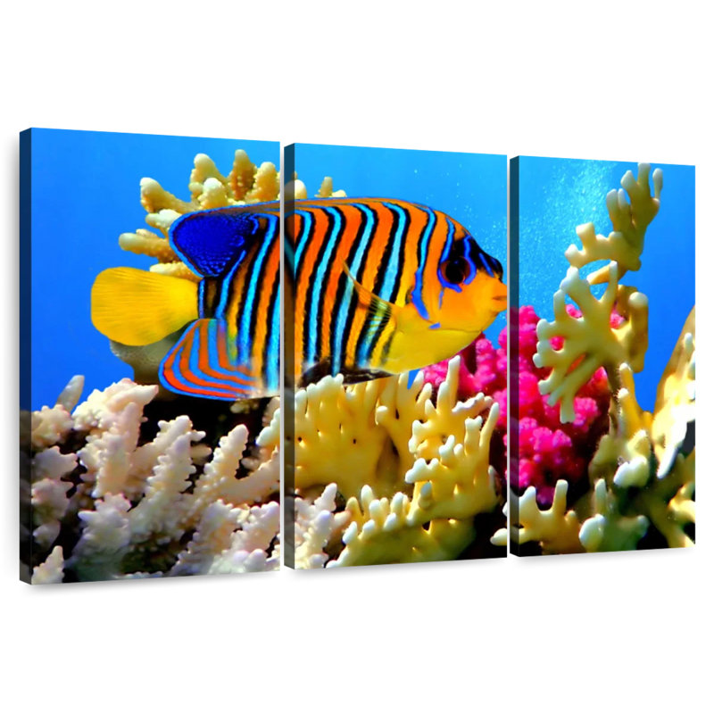 Queen Angelfish, 42" H x 65" W