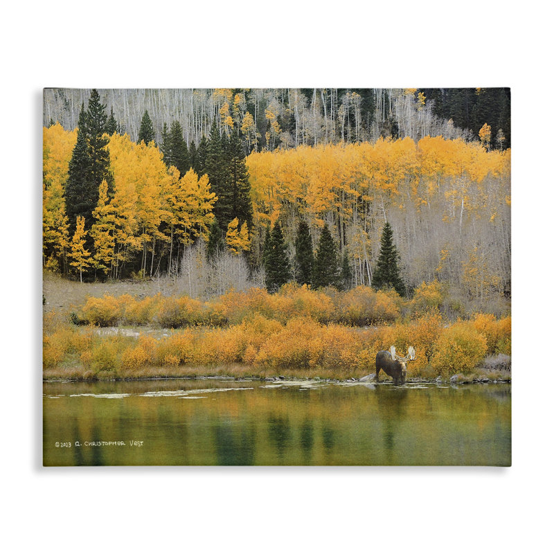 «Moose at Priest Lake», art mural sur toile par Chris Vest, H 30 po x l 40 po