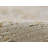 Jaydev Abstract Indoor Rug-857676934