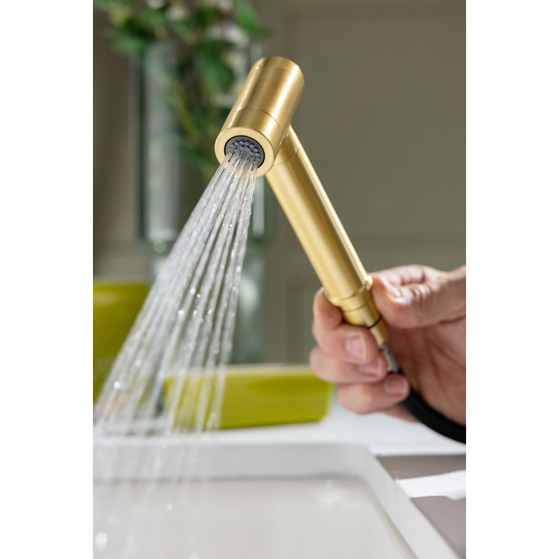 Click Modern Kitchen Hand Spray, Brushed Brass