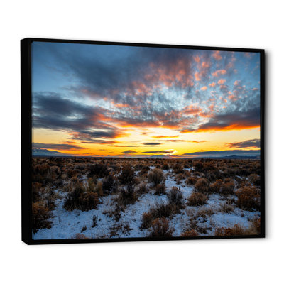 Winter Shrublands On Arkansas Desert sur toile