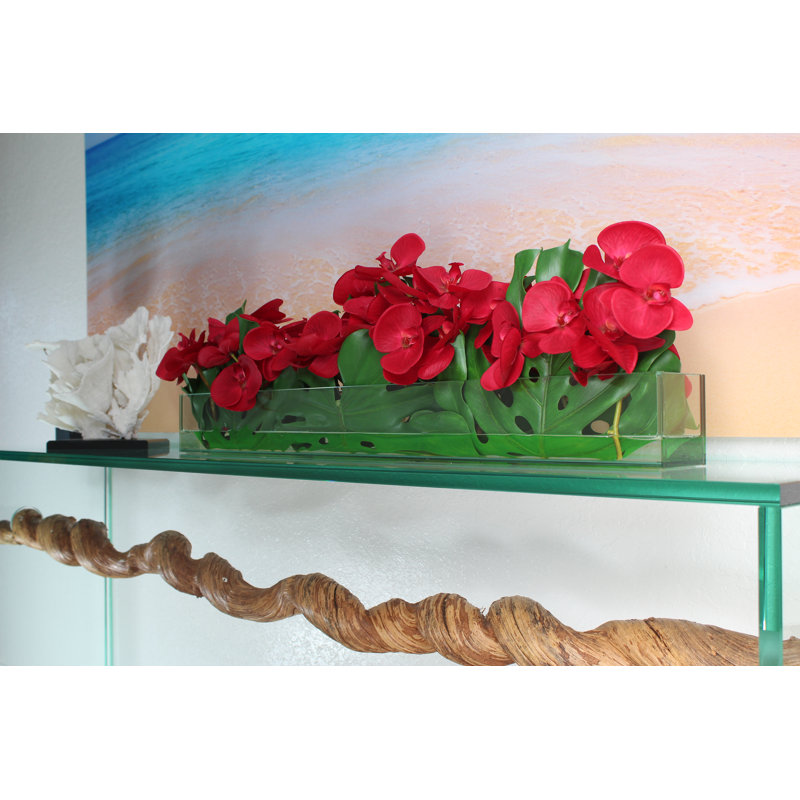 Boîte à fleurs 36 "avec plaque en verre Casa Moderna et orchidées phalaenopsis, Rouge