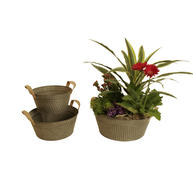 August Grove® Decorative Bin