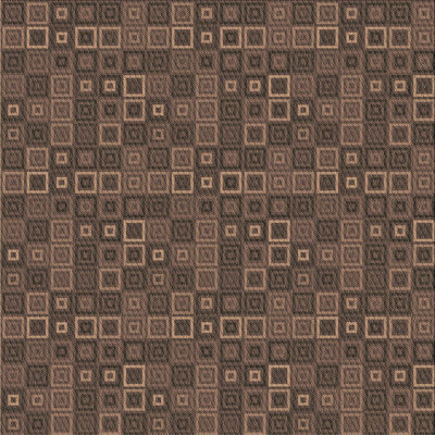 Indoor Rug