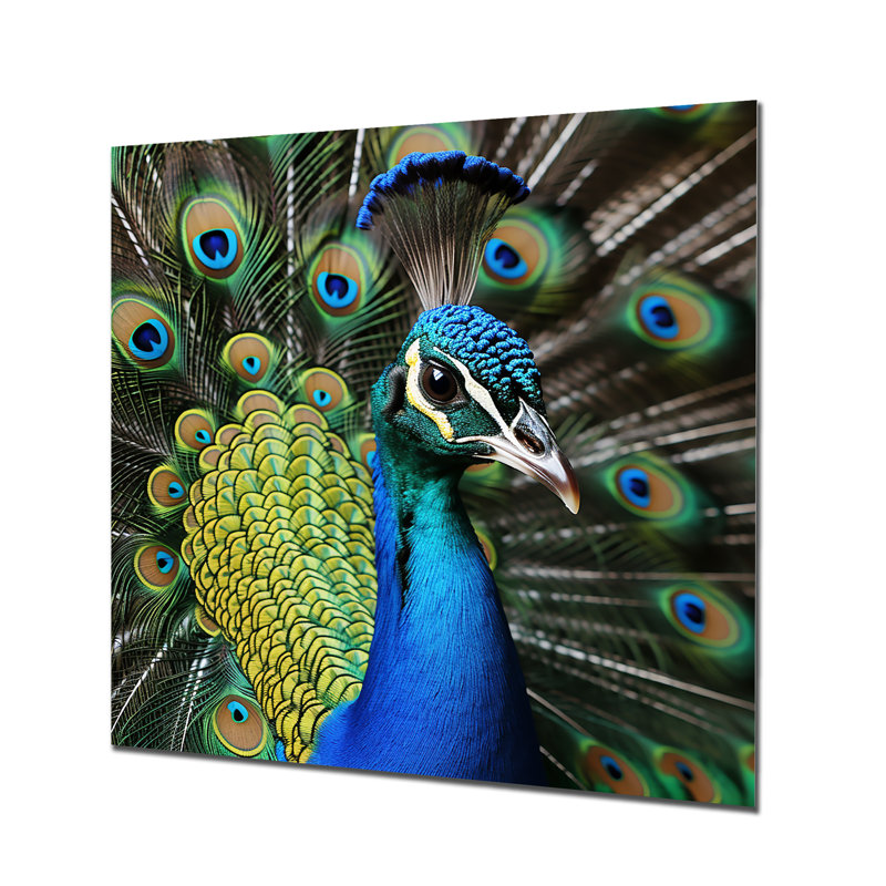 Bleu majestueux paon Splendor I - paon, art mural en métal, H 36 po x l 36 po