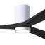 Olivier Ceiling Fan with LED Lights-768523501-767649919-693345875