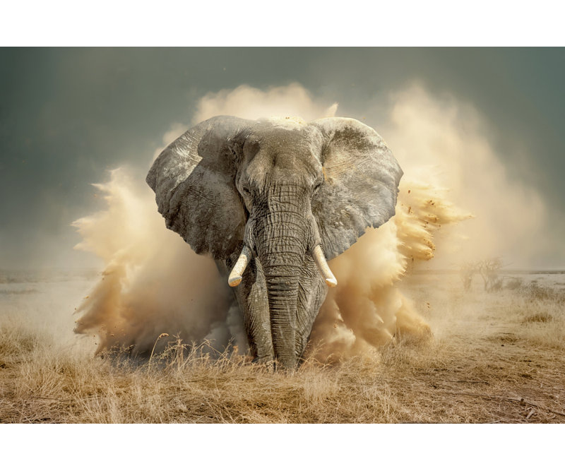 Wrapped Canvas Print