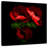 Harnek Anemone VII-109203295