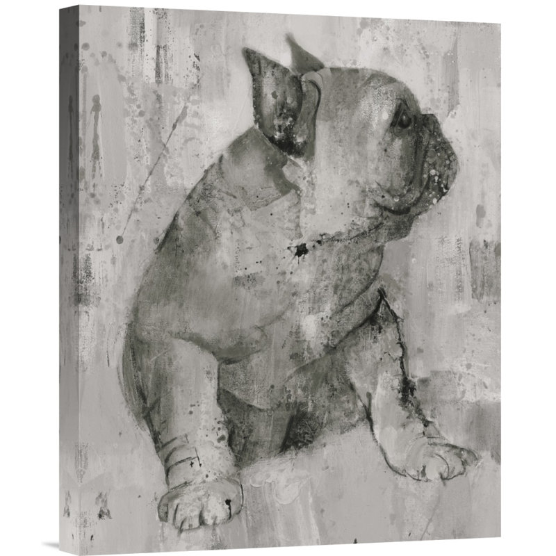 " Duke " by Albena Hristova, 20" H x 16" W, Wrapped Canvas, No Mat