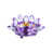 Purple est en rupture de stock