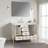 Fully Assembled 48'' Freestanding Single Bathroom Vanity