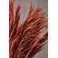 117cm Faux Pampas Grass Grass-2128551240